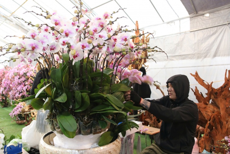 'Hái ra tiền' nghề cắm hoa Tết, cao điểm thu 4-5 triệu đồng/ngày - 6