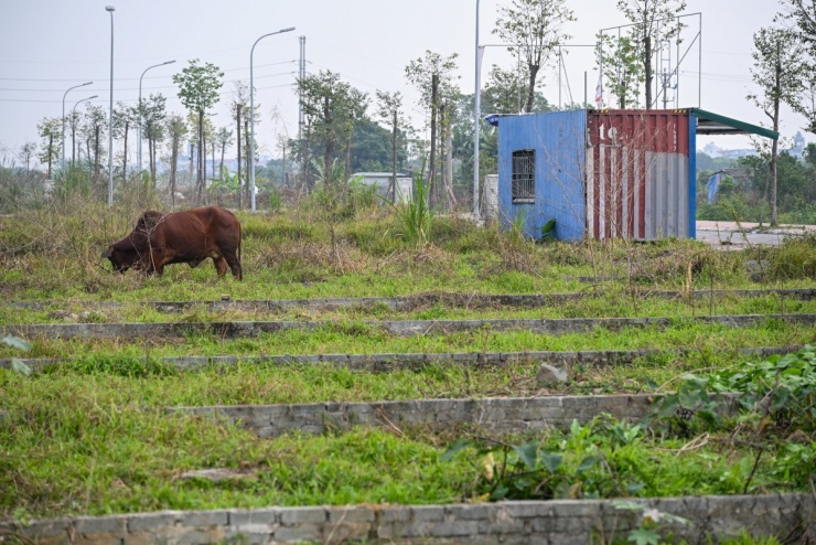 Hiện trạng các lô đất vùng ven Hà Nội sau hơn một năm đấu giá lập đỉnh - 3