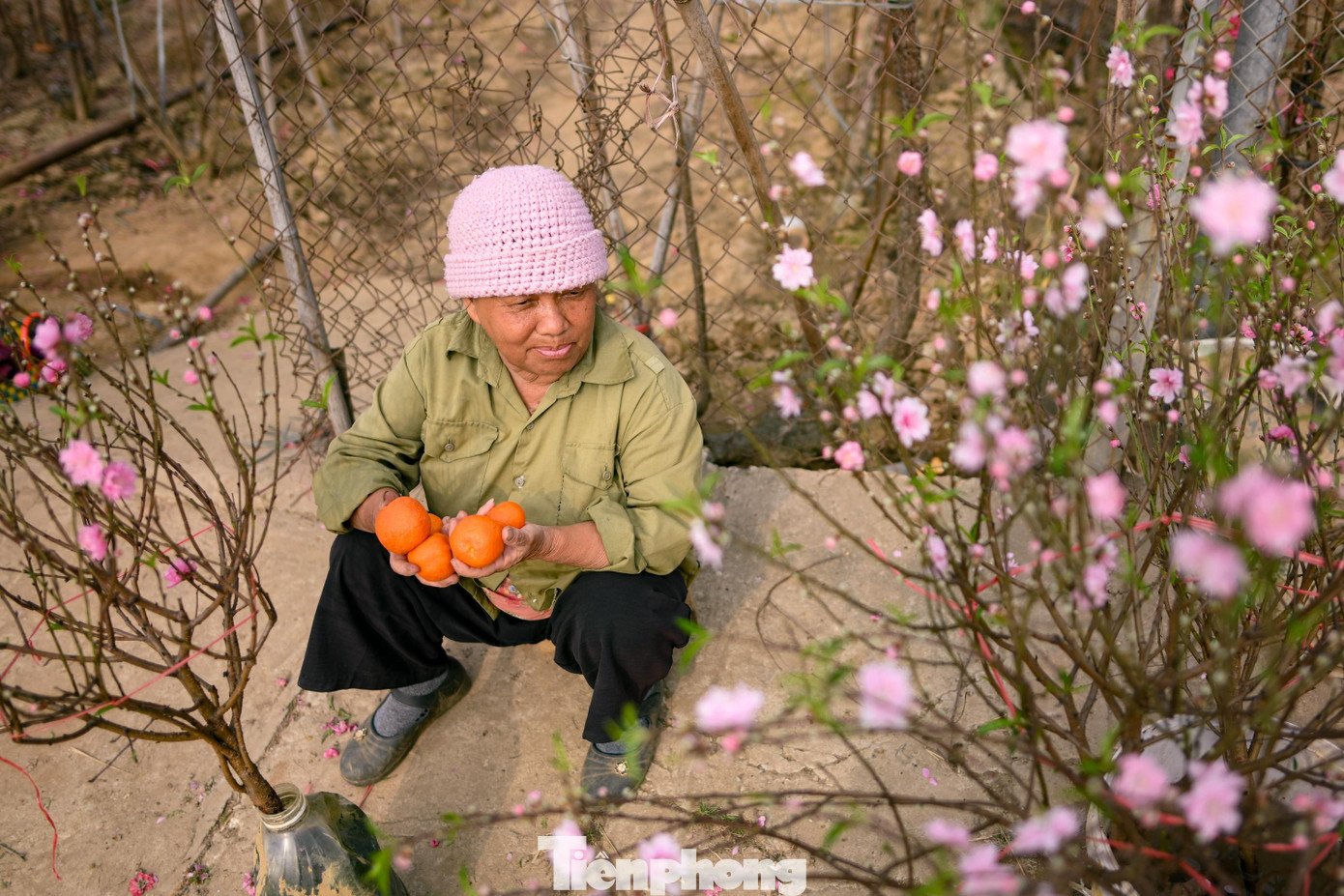24 tháng Chạp: Đào nở sớm, khách thưa thớt, làng Nhật Tân như... mất Tết - 3