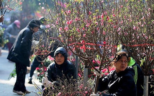 Khả năng miền Bắc có mưa phùn suốt Tết Nguyên đán.