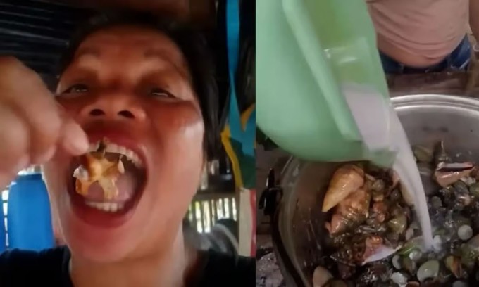 Emma qua đời hai ngày sau khi ăn loài cua độc. Ảnh chụp màn hình