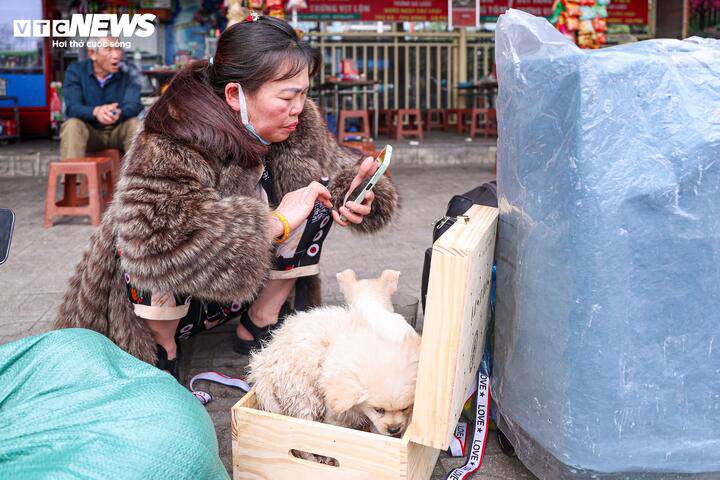 Tỉ mỉ chăm sóc hai chú chó mang theo về quê nuôi, bà Loan (Yên Bái) cho biết dù 15h xe mới vào bến nhưng bà đến đây từ 13h vì lo cận Tết đông đúc. “Đến nơi, tôi thấy năm nay không đông như mọi năm, tìm xe cũng dễ hơn”, bà nói.