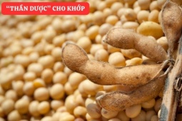 Tin tức sức khỏe - “Tái sinh” khớp gối với món ăn đại bổ giúp xương khớp cử động trơn tru