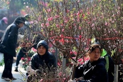 Miền Bắc có thể mưa phùn cả Tết Nguyên đán 2026