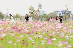 Happy Home Cà Mau – Chạm xuân, khởi triệu may mắn