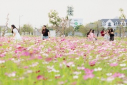 Happy Home Cà Mau – Chạm xuân, khởi triệu may mắn