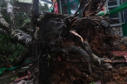 Lấy lý do bão để xù nợ 35 triệu đồng, ‘con nợ’ nhận cái kết bẽ bàng