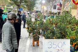 Giữa cao điểm sát Tết 2026, tiểu thương bất ngờ xả đào, quất thu hồi vốn