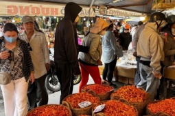 Tôm khô giá gần 2 triệu đồng một kg hút khách dịp cận Tết