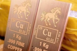 Cơn sốt đồng thỏi và bài học từ vàng, bạc