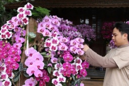 'Hái ra tiền' nghề cắm hoa Tết, cao điểm thu 4-5 triệu đồng/ngày