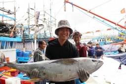Giáp Tết, ngư dân Quảng Ngãi trúng đậm cá ngừ đại dương