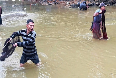 Hàng trăm người hào hứng bắt cá mát trên suối cuối năm ở miền Tây Nghệ An