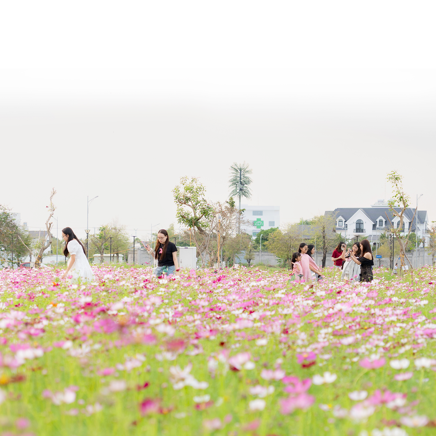 Happy Home Cà Mau – Chạm xuân, khởi triệu may mắn - 1