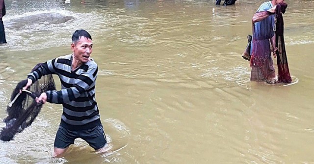 Hàng trăm người hào hứng bắt cá mát trên suối c...