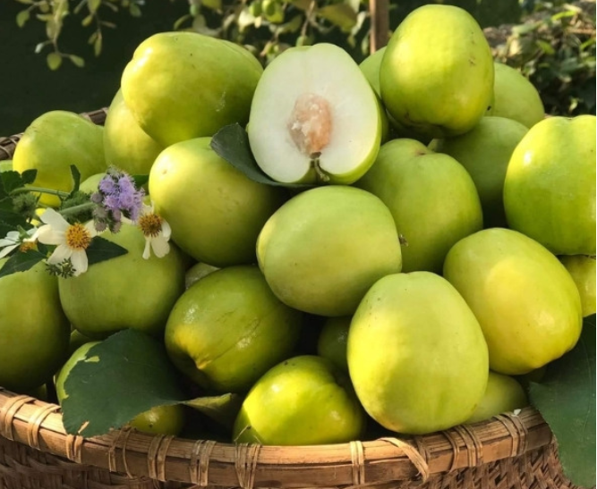 3 loại quả ngày Tết tốt cho xương khớp, nhưng không phải ai cũng biết - 2