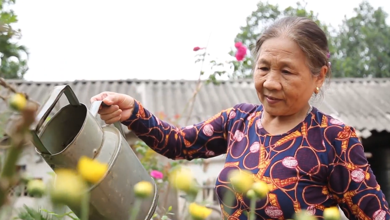 Chia sẻ của bác Nguyễn Thị Bẩy về cách cải thiện căn bệnh xẹp đốt sống nhờ cây Một Dược