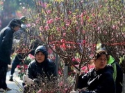 Miền Bắc có thể mưa phùn cả Tết Nguyên đán 2026