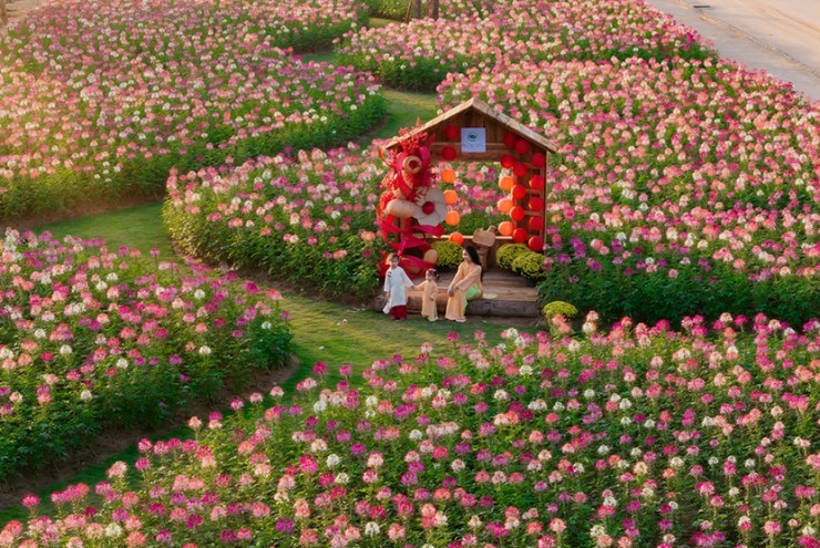 Ecopark tràn ngập sắc hoa tại các đại đô thị khắp 3 miền dịp Tết Bính Ngọ 2026