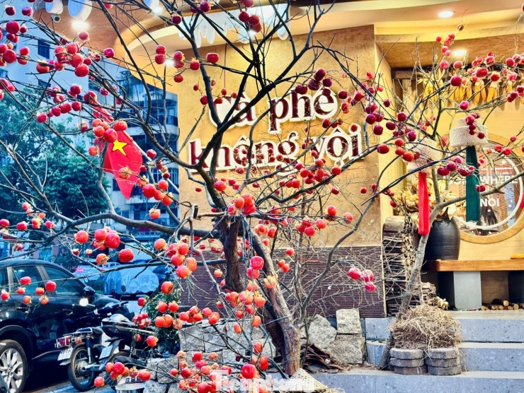 Giới trẻ Thủ đô check-in quán cà phê như ‘phim trường Tết’ - 7