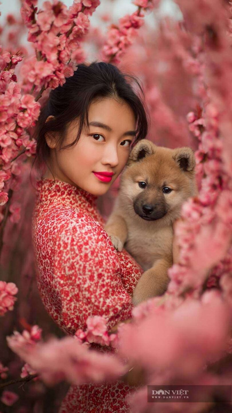 Về tài lộc, năm 2026 cho thấy con giáp tuổi Tuất khá có duyên với các khoản đầu tư hoặc mua sắm tài sản giá trị lớn như nhà đất, bất động sản