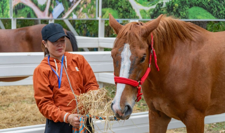 Ngựa đua sẽ tung vó sắt giữa Sài Gòn dịp Tết Bính Ngọ - 4