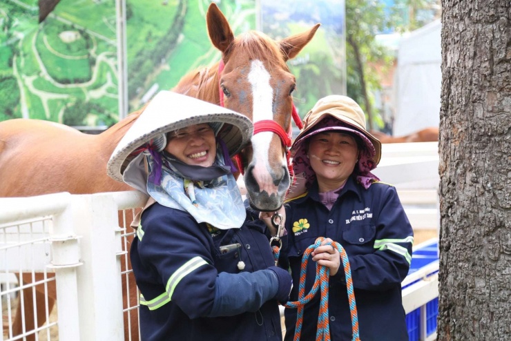 Ngựa đua sẽ tung vó sắt giữa Sài Gòn dịp Tết Bính Ngọ - 8