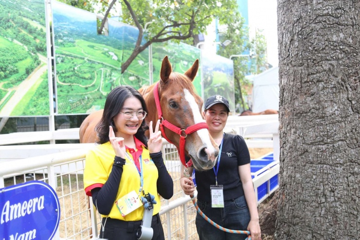 Ngựa đua sẽ tung vó sắt giữa Sài Gòn dịp Tết Bính Ngọ - 10