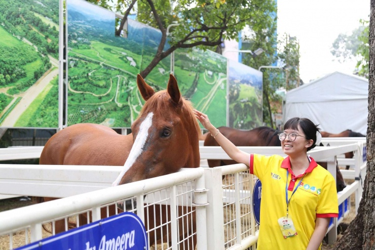 Ngựa đua sẽ tung vó sắt giữa Sài Gòn dịp Tết Bính Ngọ - 9