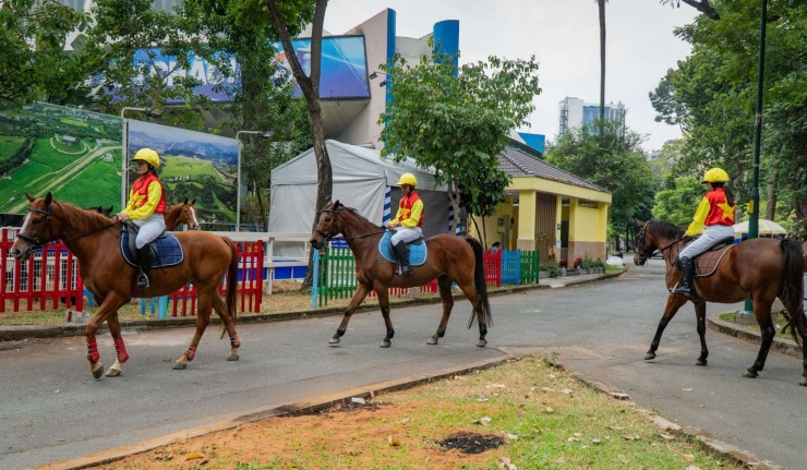 Ngựa đua sẽ tung vó sắt giữa Sài Gòn dịp Tết Bính Ngọ - 14