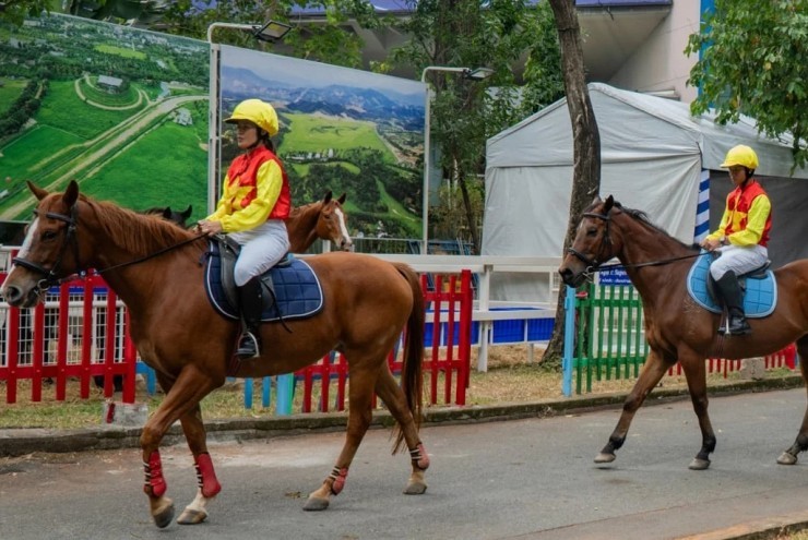 Ngựa đua sẽ tung vó sắt giữa Sài Gòn dịp Tết Bính Ngọ