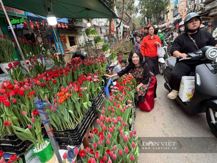 Một du khách tranh thủ check-in với quầy hoa tulip.&nbsp;