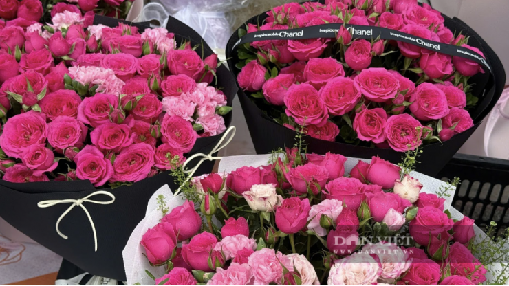 Hoa hồng sophia được giới trẻ ưa chuộng. Ảnh: Nhật Hà