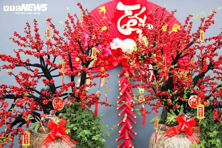 Những ngày giáp Tết Nguyên đán Bính Ngọ 2026, tại Hà Nội, nhiều chậu đào đông đỏ rực được bày bán, thu hút sự chú ý của người dân Thủ đô. Mức giá của dòng cây này dao động từ vài triệu đồng đến khoảng 300 triệu đồng mỗi chậu, tùy kích thước và cách tạo dáng.