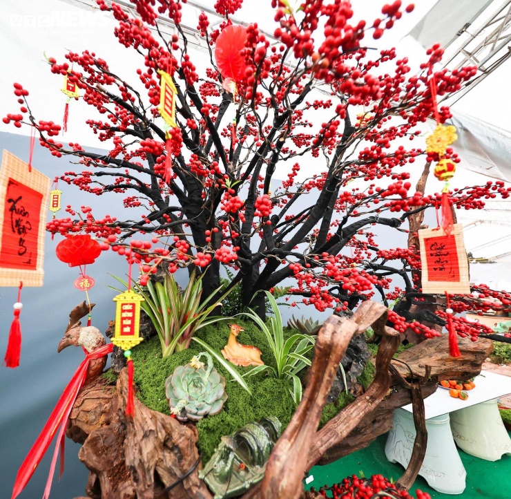 Đây không phải lần đầu đào đông xuất hiện trên thị trường Hà Nội. Tuy nhiên, do hình thức lạ mắt và số lượng không nhiều, loại cây này vẫn nhanh chóng "cháy hàng". Một số khách thậm chí đặt mua từ sớm qua mạng để giữ chỗ.