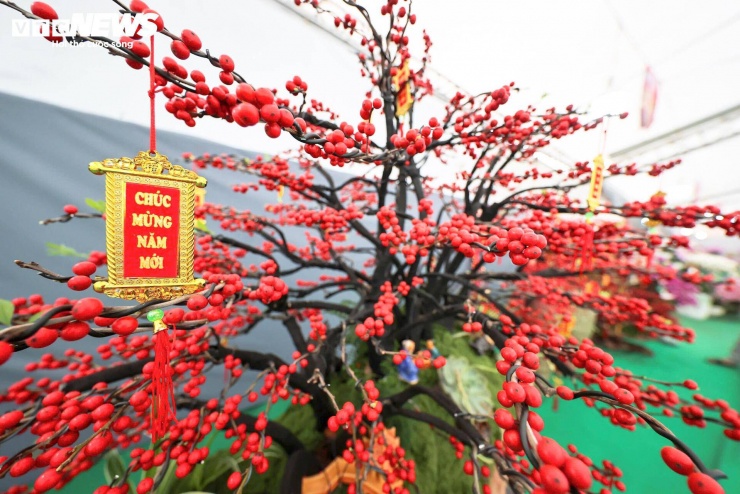 Đào đông khoe sắc đỏ rực đón Tết, giá lên đến vài trăm triệu đồng - 5