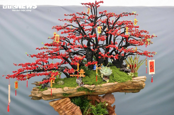 Ngoài ra còn có chậu khác giá 157 triệu đồng và một mẫu trang trí cầu kỳ được giới thiệu ở mức khoảng 250 triệu đồng. Theo người bán, giá phụ thuộc vào chiều dài cành, độ dày tán và mức độ hoàn thiện tiểu cảnh.