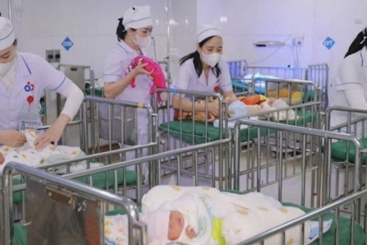 Lá chắn trắng giữa mùa Xuân