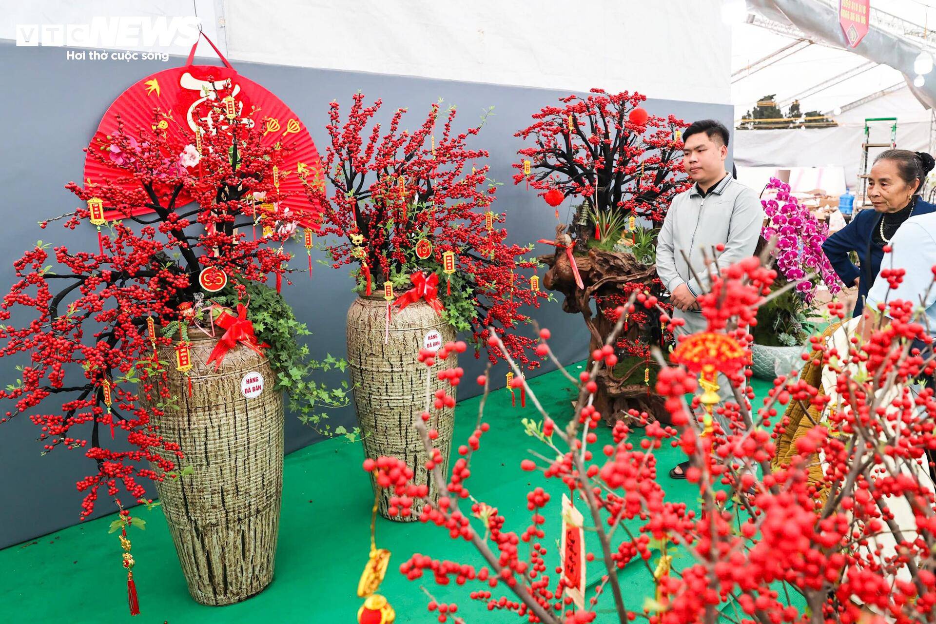 Hai chậu đào đông có giá khoảng 150 triệu đồng đã được khách đặt cọc. Chủ cửa hàng cho biết những mẫu này thuộc dòng cỡ lớn, được tạo thế công phu nên giá cao hơn mặt bằng chung.