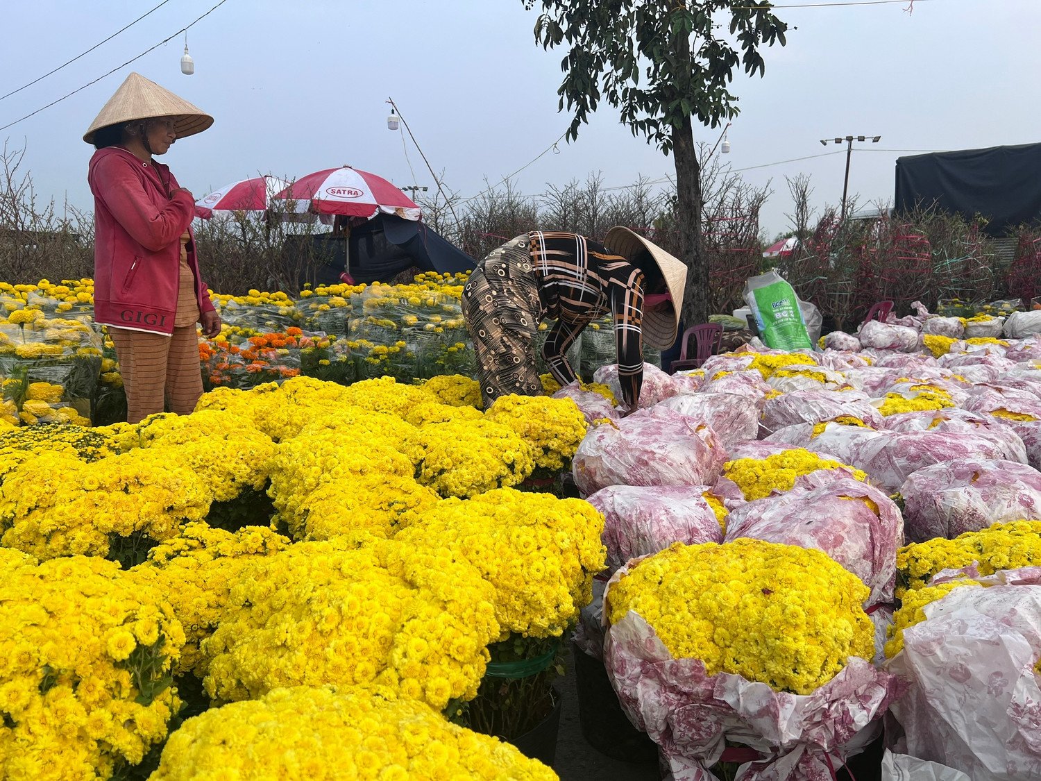 Chợ hoa xuân Bình Điền có 282 gian hàng. Đơn vị tổ chức là Tổng Công ty Thương mại Sài Gòn (SATRA). SATRA miễn phí tiền thuê sạp cho các nhà vườn. Ngoài ra, nhà vườn có thể gửi hoa lại chợ sau 12h ngày 29 Tết, đơn vị tổ chức sẽ phân công người trông nom cẩn thận để sau Tết nhà vườn lên lấy về, tái sử dụng cho mùa sau.