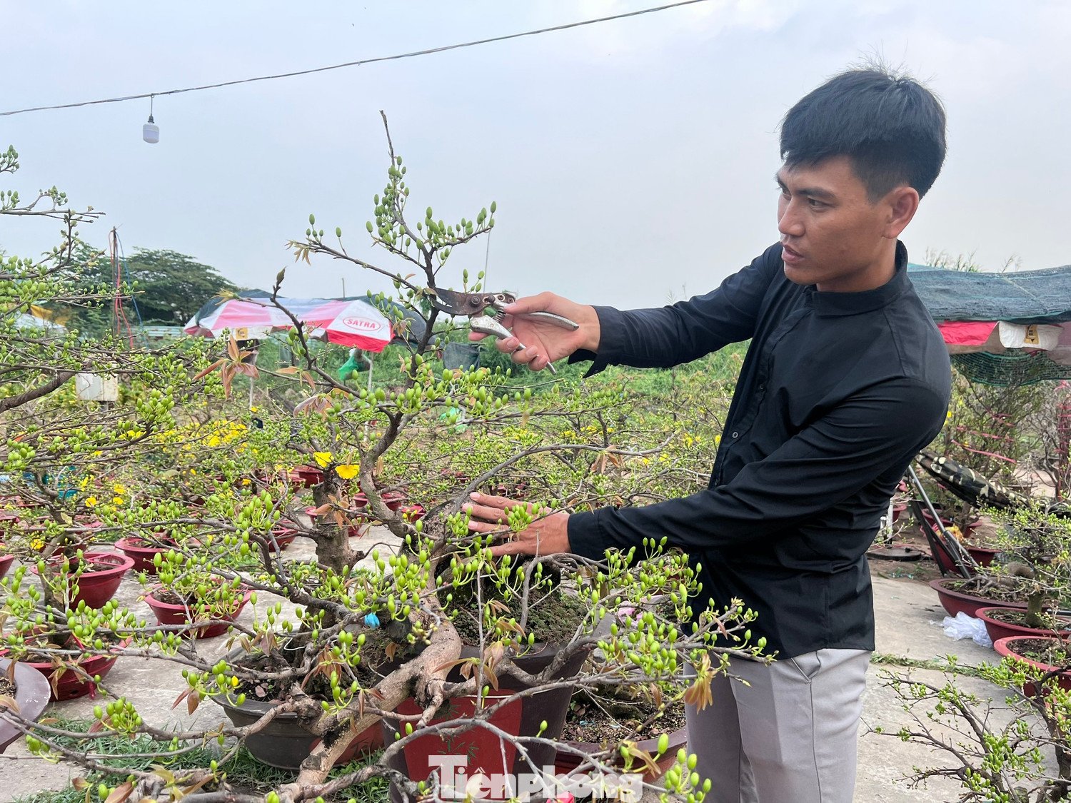 Tại lễ khai mạc, Phó Chủ tịch HĐND TPHCM Nguyễn Văn Dũng đánh giá, việc miễn phí thuê gian hàng cho các thương nhân, nhà vườn bán hoa là một chính sách hết sức nhân văn, thể hiện tinh thần tương thân tương ái, hỗ trợ cộng đồng.