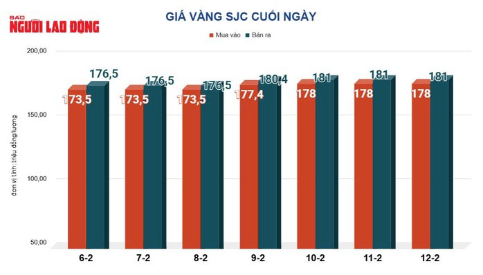 Giá vàng hôm nay 13-2: Giảm thẳng đứng - 2