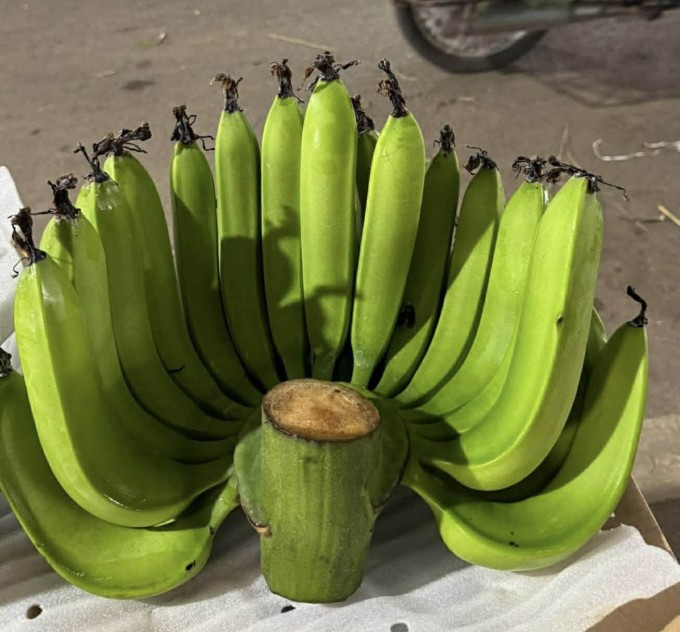 Nải chuối xanh 33 quả được bán giá 1,2 triệu đồng, ngày 12/2. Ảnh: Kiêm Dũng