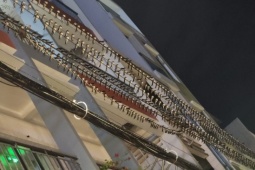 Hàng đàn chim én bay về đậu dày đặc tại trung tâm tỉnh Đồng Tháp