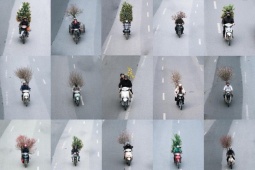 Bộ ảnh “Chở Tết về nhà” chụp trong một buổi chiều gây bão mạng