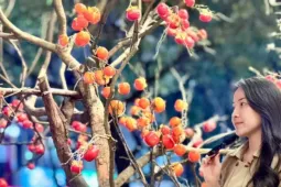 Giới trẻ Thủ đô check-in quán cà phê như ‘phim trường Tết’