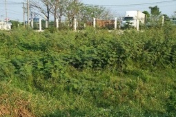 Người dân chuyển đất nông nghiệp sang đất ở trước năm 2026 sẽ được hoàn lại tiền