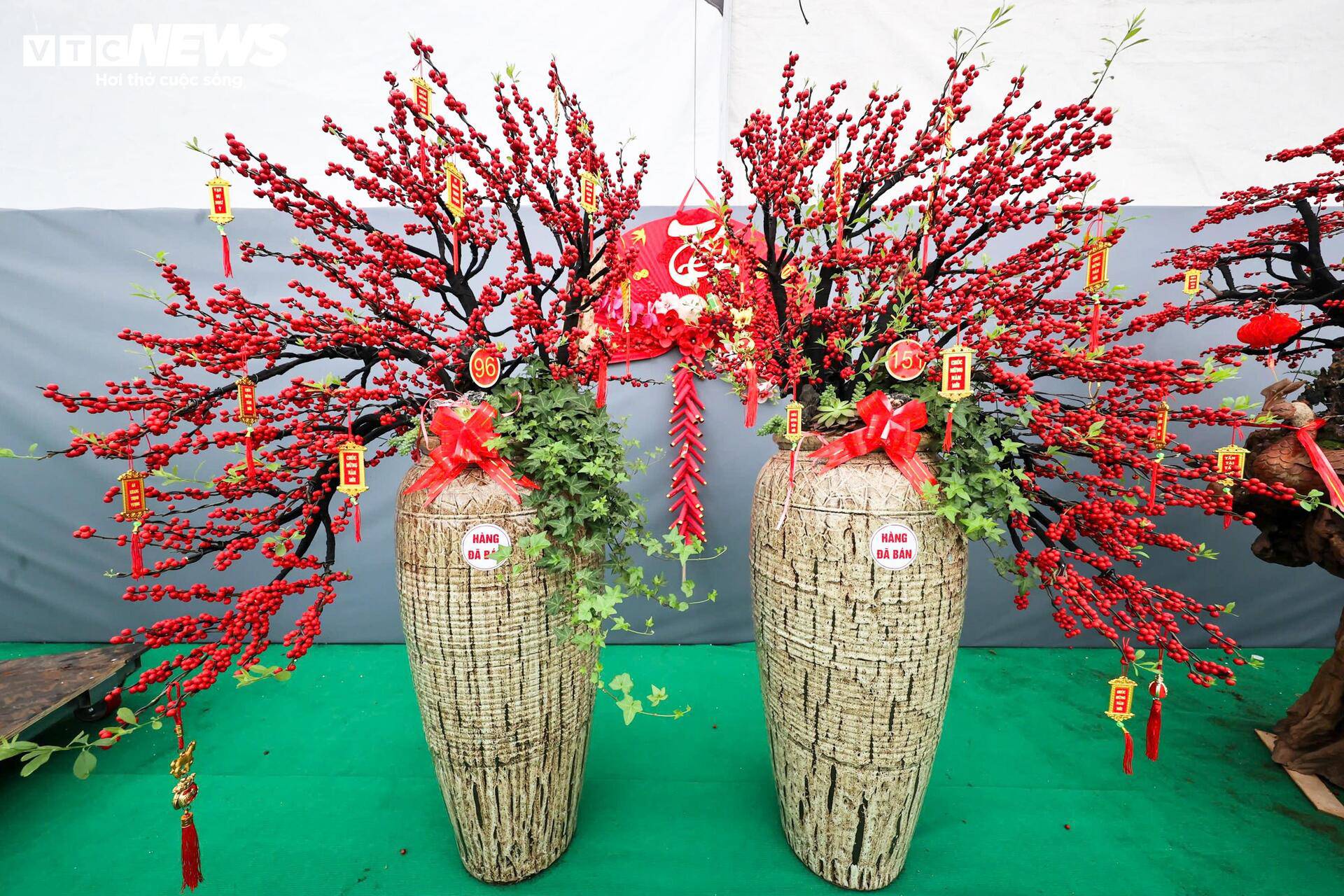 Hai chậu đào đông có giá khoảng 150 triệu đồng đã được khách đặt cọc. Chủ cửa hàng cho biết những mẫu này thuộc dòng cỡ lớn, được tạo thế công phu nên giá cao hơn mặt bằng chung.