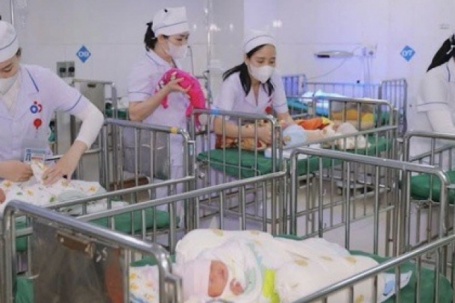 Lá chắn trắng giữa mùa Xuân