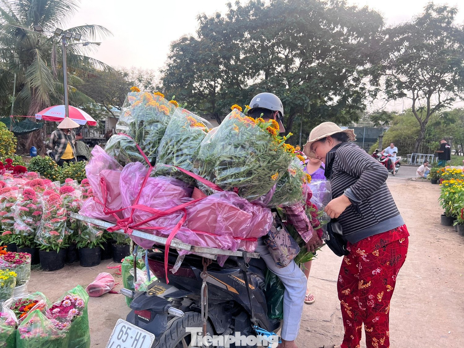 Giá rẻ khó tin: Hoa Tết chỉ 20.000 đồng/chậu ở TPHCM - 12